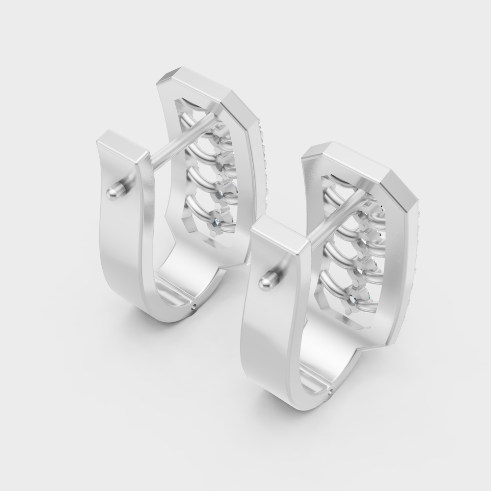 Luxury Platinum Round Cut Lab Diamond Hoop Earrings For Women